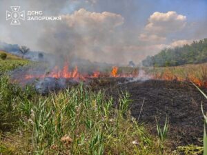 Горіли будинки та поля внаслідок російських ударів по передмістю Запоріжжя, — ФОТО