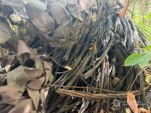 Стріляли з автомата по правоохоронцях під час втечі: у Запорізькому районі затримали крадіїв кабелю