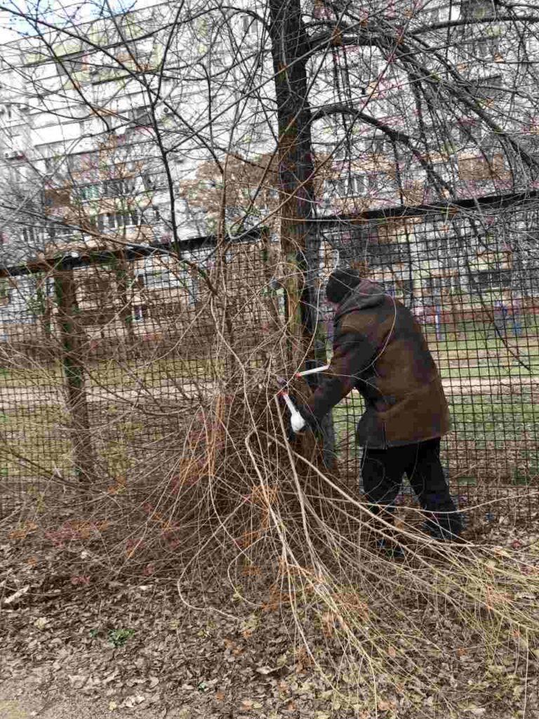 Серед послуг Ольги Бикової – прибирання прибудинкових територій, косіння трави, миття під’їздів і вітрин, очищення дитячих майданчиків та роботи з деревами.

