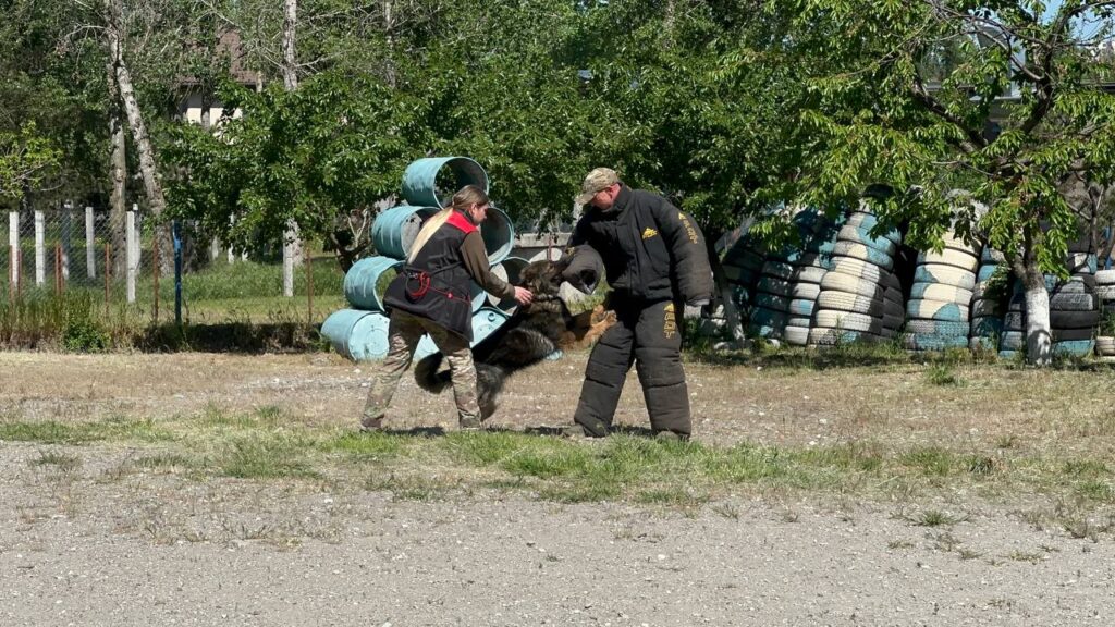 Запорізька кінологиня Ксенія Бодня та її чотирилапа напарниця Ніка